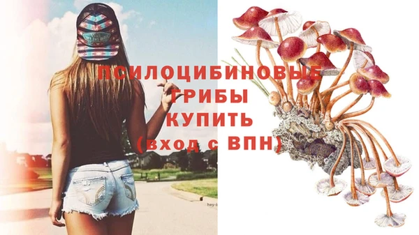 каннабис Медвежьегорск