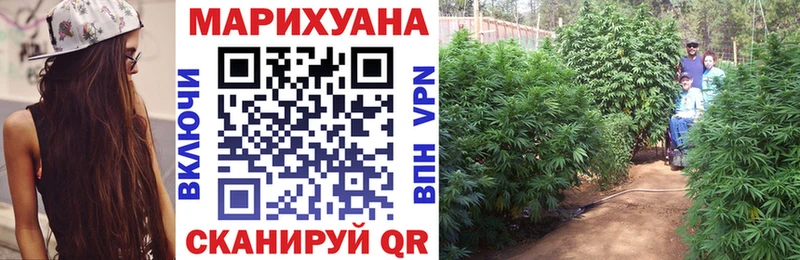 Конопля Amnesia Урус-Мартан